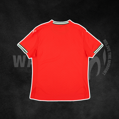 Portugal 2025/26 Home Kit