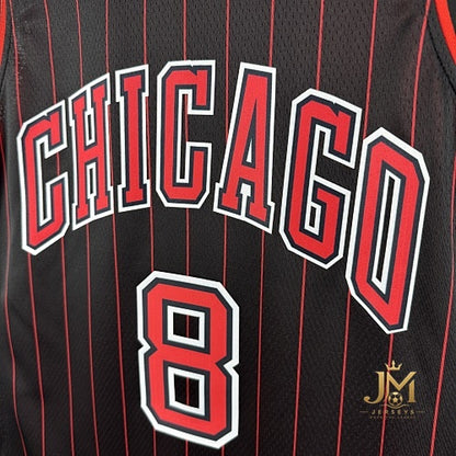 Bulls Jumpman #8 Lavine